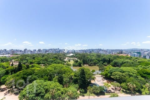 Image 41 - 272258